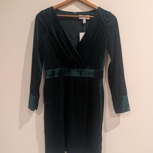 Badgley Mischka Deep Green Velvet Dress